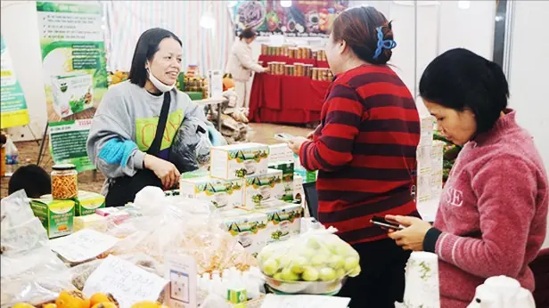 Tiếp sức vốn cho tiểu thương nhập hàng phục vụ mùa Tết